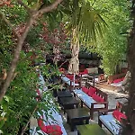 Pansion Oscar Summer Garden