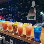 Pansion Oscar Summer Garden 3*
