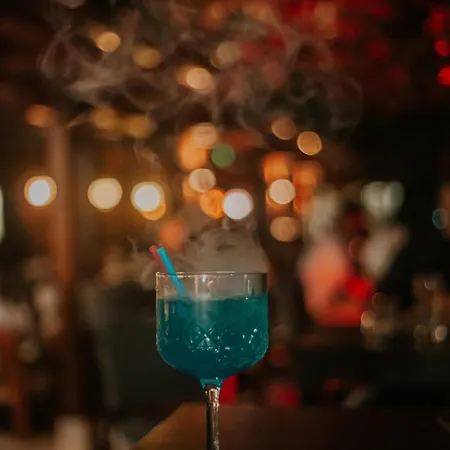 Pansion Oscar Summer Garden Maison d'hôtes