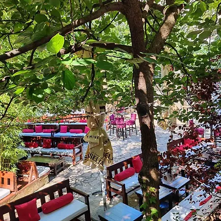 Pansion Oscar Summer Garden Maison d'hôtes