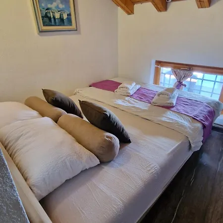 Maison d'hôtes Pansion Oscar Summer Garden 3*