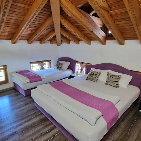 Pansion Oscar Summer Garden Πανσιόν Μόσταρ
