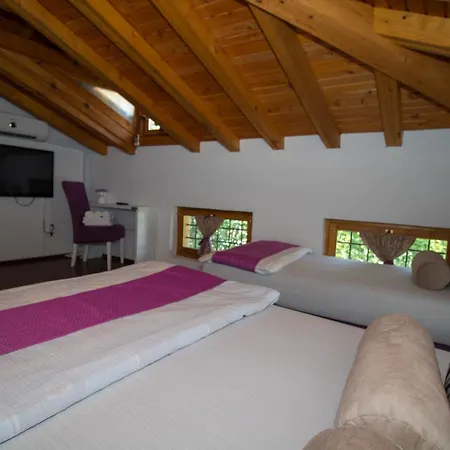 Guest house Pansion Oscar Summer Garden