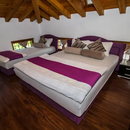 Pansion Oscar Summer Garden 3*
