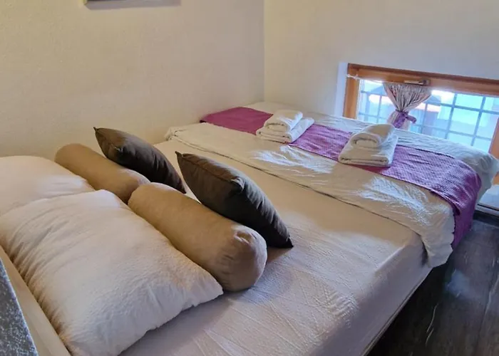 Πανσιόν Pansion Oscar Summer Garden 3*